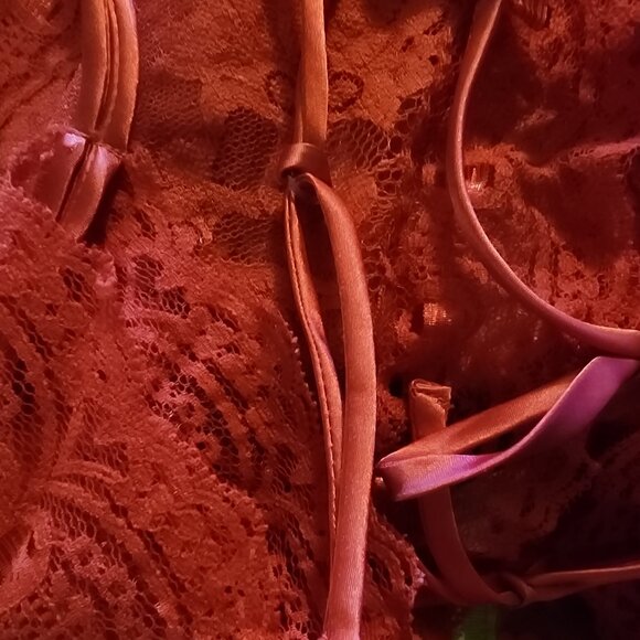 1980's-90's Victoria's Secret Gold Label Valentine Red Net Lace Teddy Lingerie - Picture 10 of 10